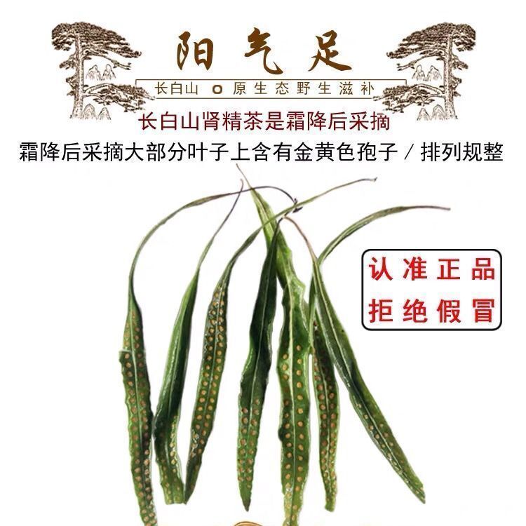 肾精茶 肾精草 东北长白山特产野生肾精草茶养生茶化石草瓶装包邮