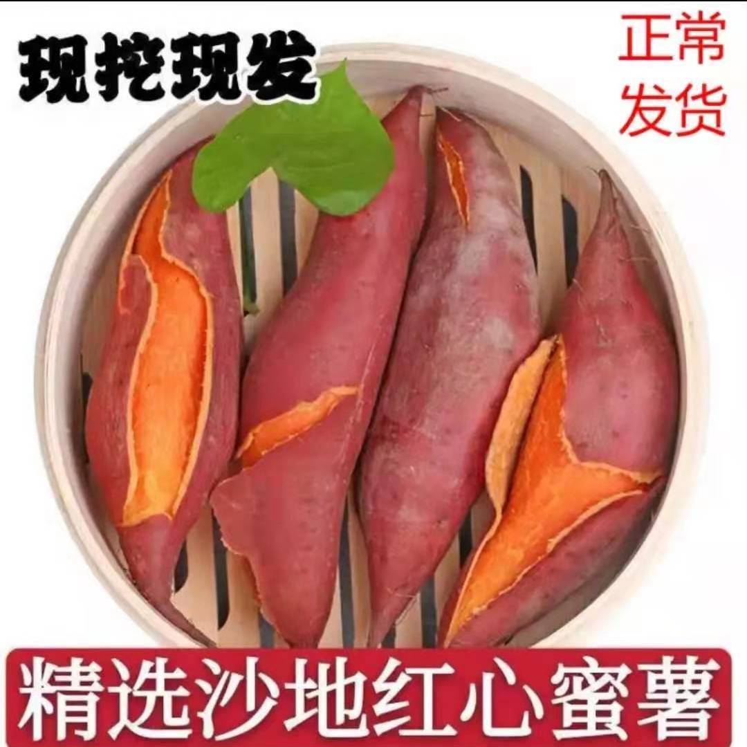 10斤新鲜红薯红心蜜薯番薯地瓜软糯香甜新鲜蔬菜小香芋地瓜现挖