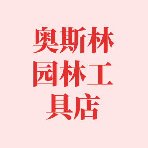 奥斯特旗舰店