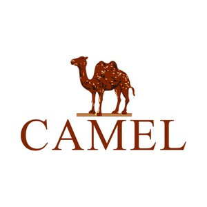 Camel/骆驼