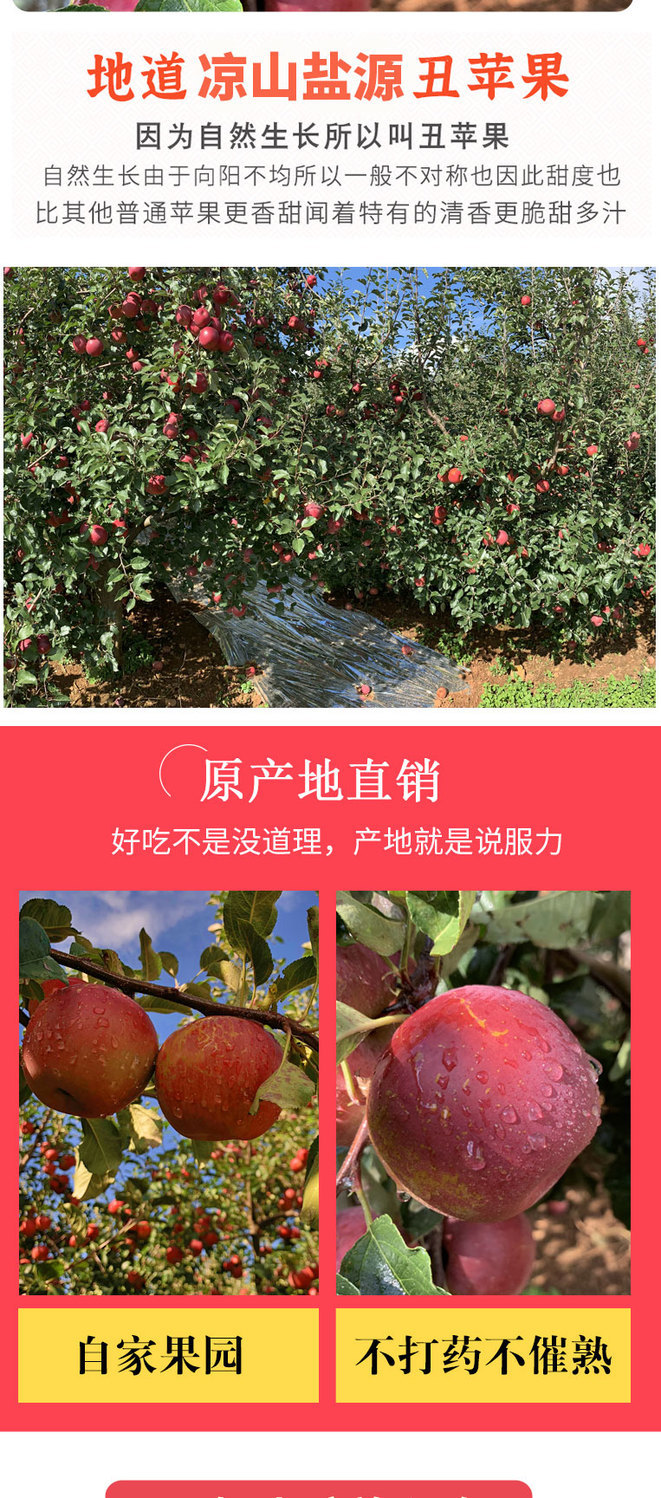 正宗大凉山丑苹果冰糖心新鲜脆甜3/5/10斤当季红富士苹果水果批发