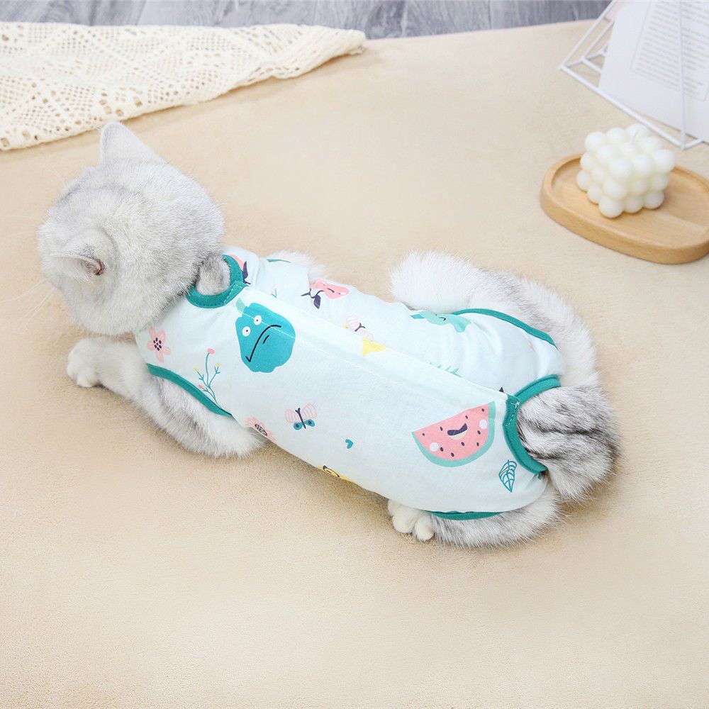 猫咪绝育服断奶服手术绝育服空调服护肚子皮肤病保护衣服宠物用品