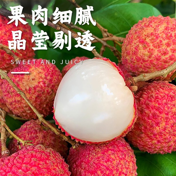 广东直发现货妃子笑桂味糯米糍白糖罂老树新鲜采摘水果当季整箱