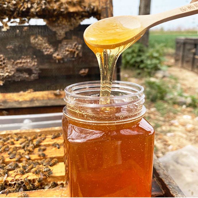 野生土蜂蜜纯正天然百花蜜农家自产蜂蜜成熟枣花蜜正品洋槐蜜 5月14日发完 虎窝拼 野生土蜂蜜纯正天然百花蜜农家自产蜂蜜成熟枣花蜜正品洋槐蜜 5月14日发完 虎窝拼