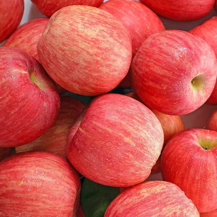 陕西红富士苹果5/10斤装新鲜非冰糖心超甜正宗鲜苹果脆甜水果批发 - 