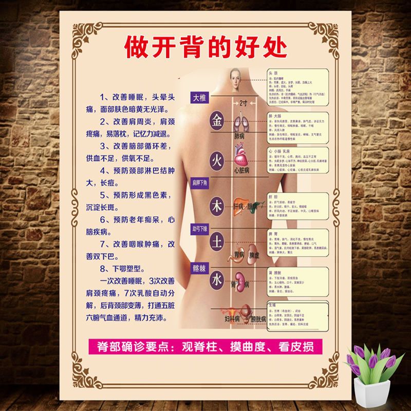 开背的好处做背的功效背部经络精油开背推背背部经络美容院装饰画