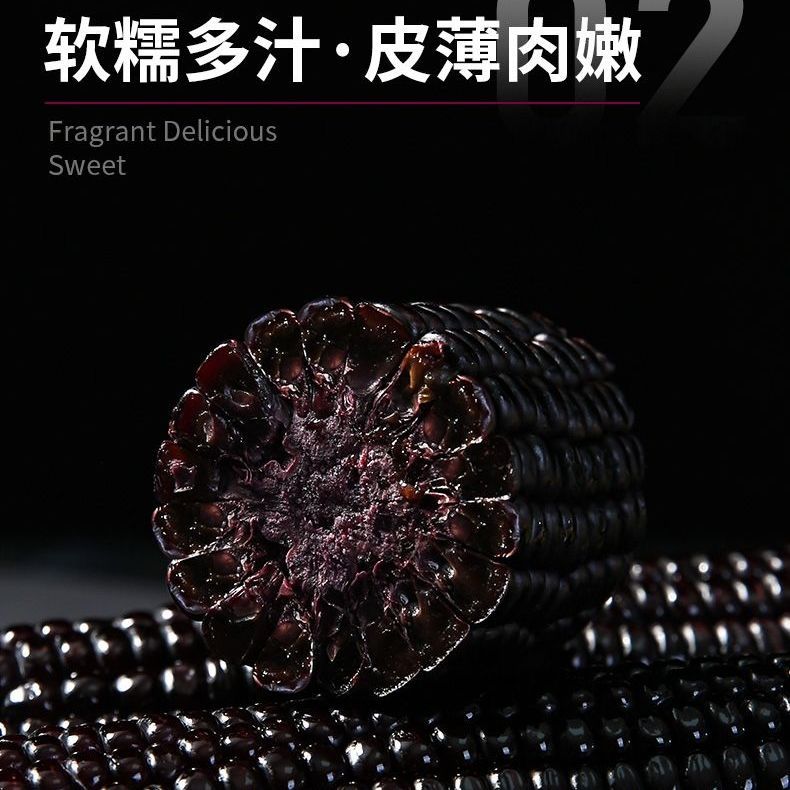 88825-东北黑玉米新鲜甜糯非转基因真空包装自热速食黑黏苞米棒整箱批发-详情图
