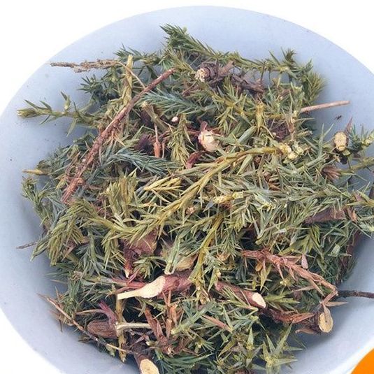 刺柏叶500g包邮克柏木树叶干货材 山杜松 刺柏短刺柏柏叶新鲜中药