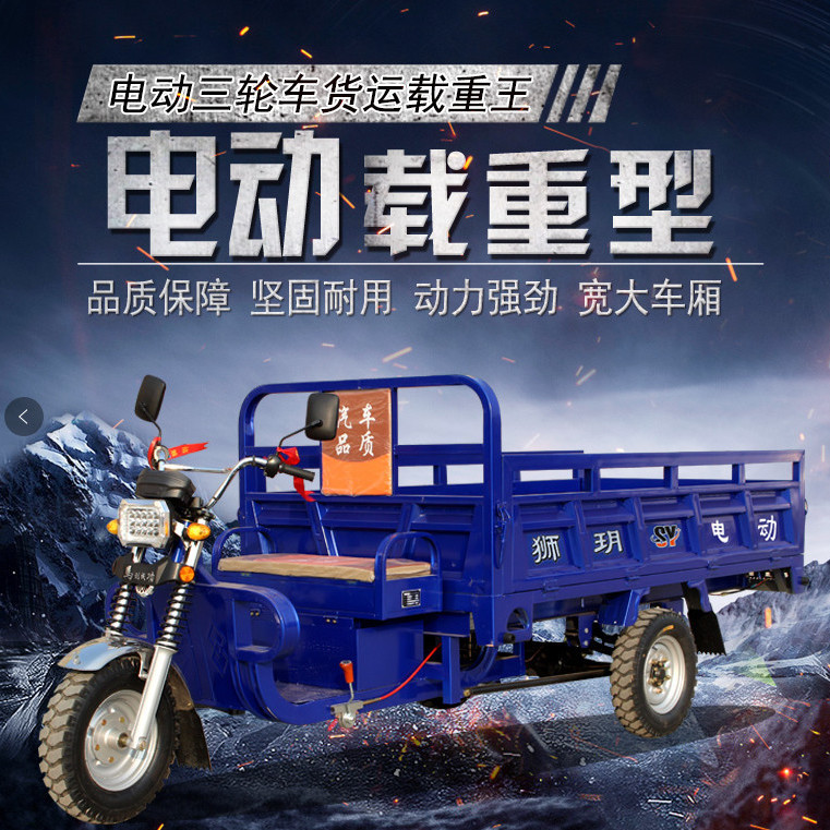 电动三轮车货车家用成人货运水电瓶大功率油电两用三轮车载重王【2月