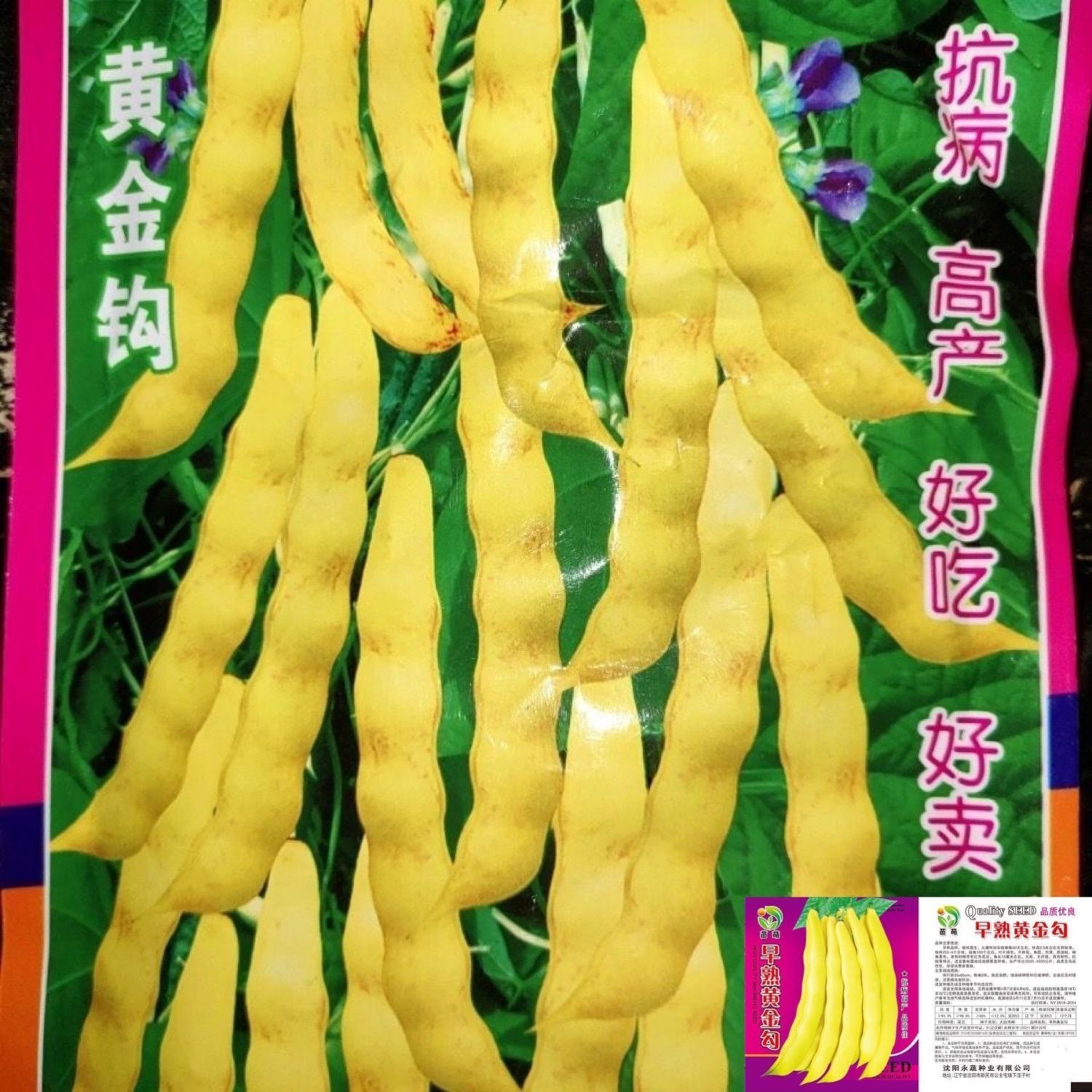 金满架黄金架豆油豆黄金钩豆角种子红金钩芸豆蔬菜种子东北油豆种