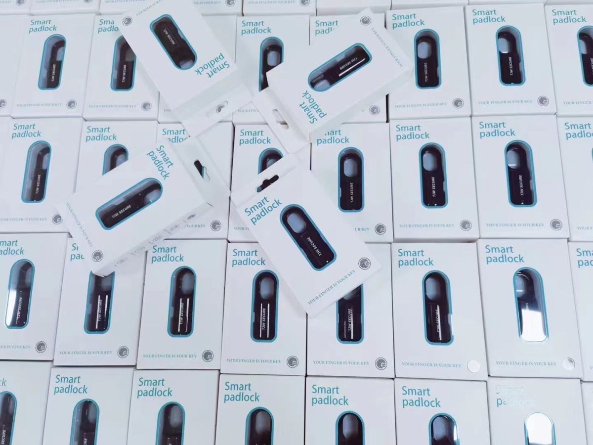 Intelligentes Vorhängeschloss zum Entsperren von Gepäck, Rucksäcken, Lagerschränken, Schlafsälen und Fingerabdruckschlössern, kleiner Mini-Schlosskopf_voghion.com