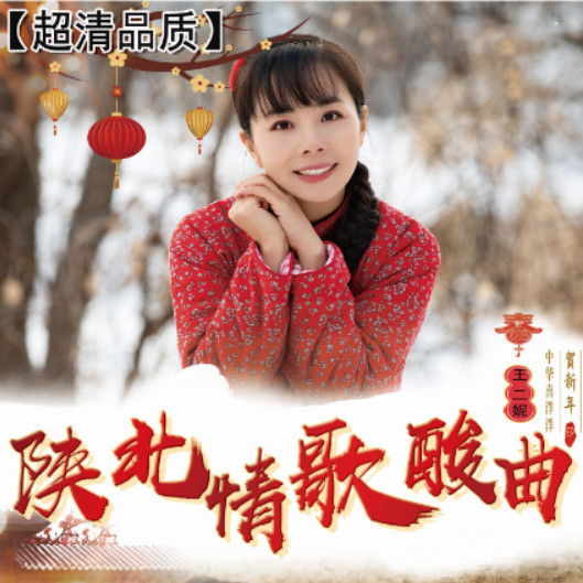 u盘陕北情歌酸曲民歌儿u盘tf内存卡 走西口 泪蛋蛋 赶牲灵mp3