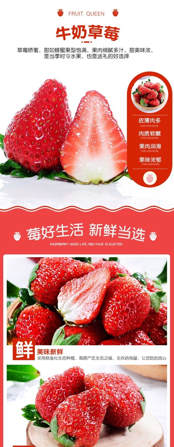泰初源 四川99牛奶草莓5斤新鲜当季孕妇草莓水果红颜奶油非丹东整箱包邮