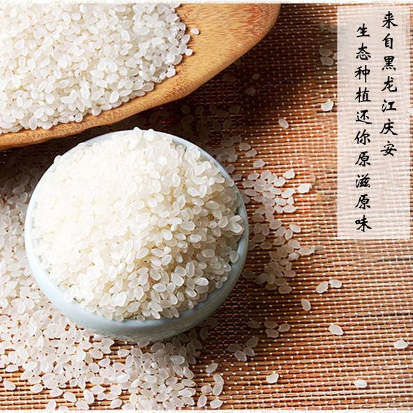 东北黑龙江庆安珍珠米香糯梗米煮粥特价便宜批发5kg