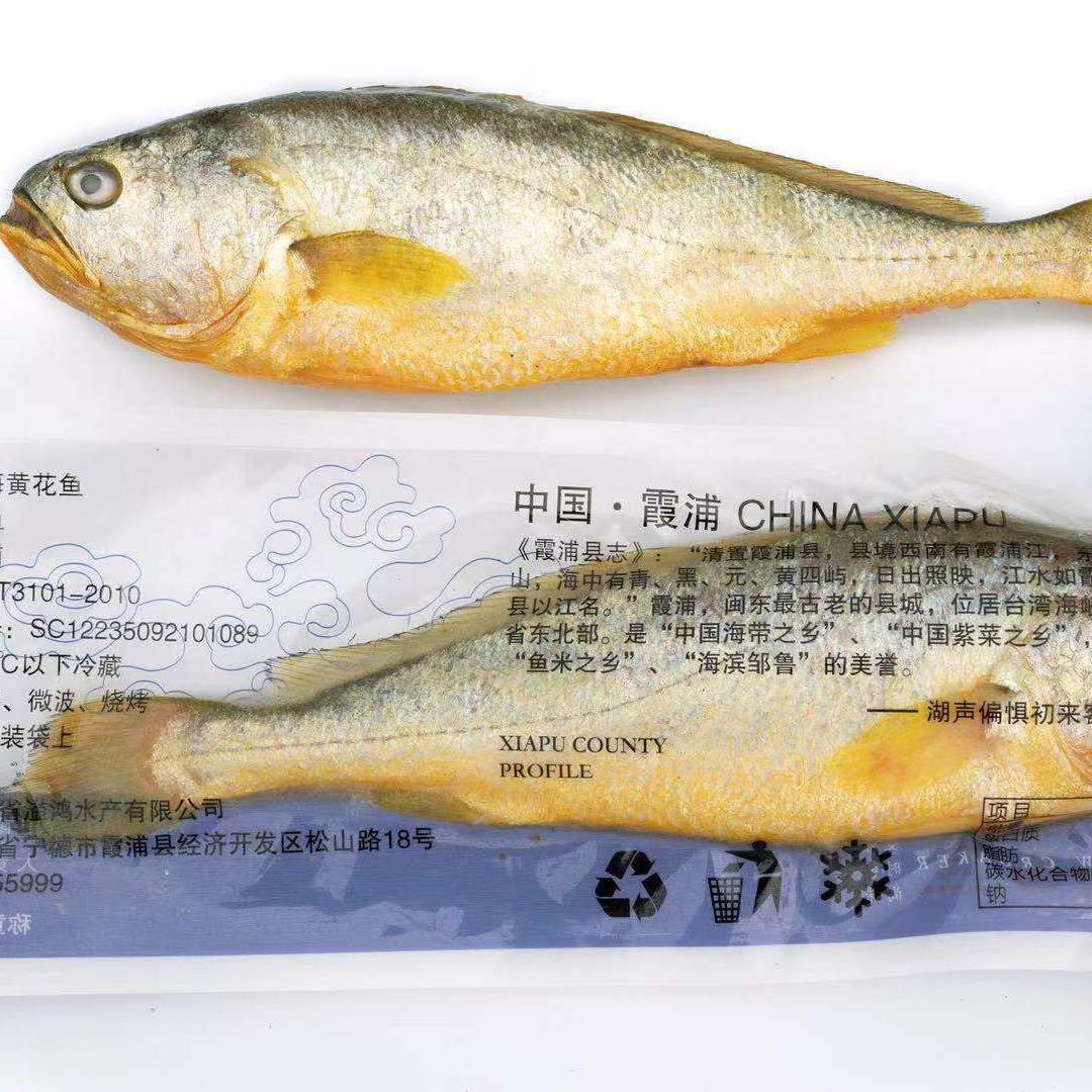 福建霞浦大黄鱼之乡高品质大黄鱼一条有500g鲜活大黄真空包装拼团中