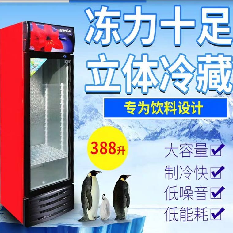 冷藏展示柜单门饮料柜商用双开门保鲜柜立式三门啤酒冰柜冰箱超市