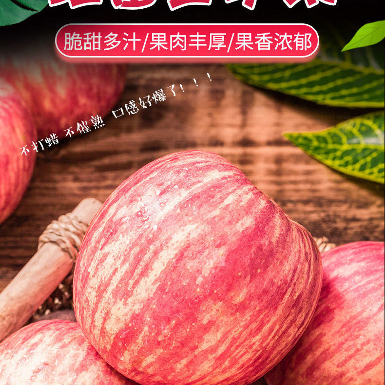 75848-现摘陕西红富士苹果正宗脆甜冰糖心苹果整箱批发当季新鲜水果批发-详情图