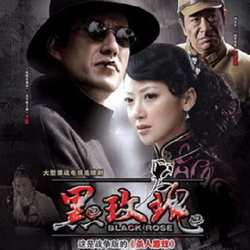 【黑玫瑰】抗日谍战电视剧碟片dvd