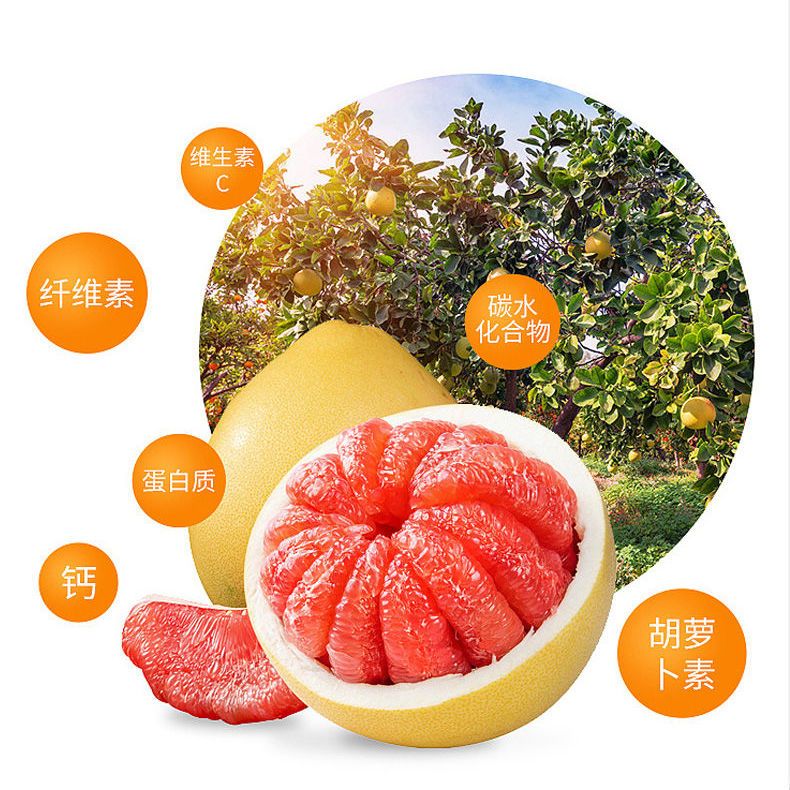 75722-梅州三红柚子2.5-3斤两个柚子礼盒装红蜜柚水果新鲜密柚当季包邮-详情图