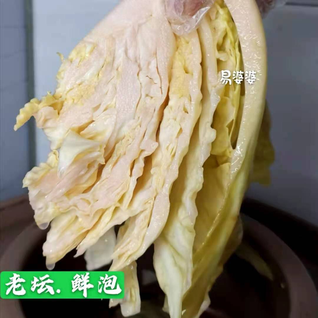 四川泡菜正宗老坛泡包菜泡圆白菜自制下饭菜方便小包装即食酸菜