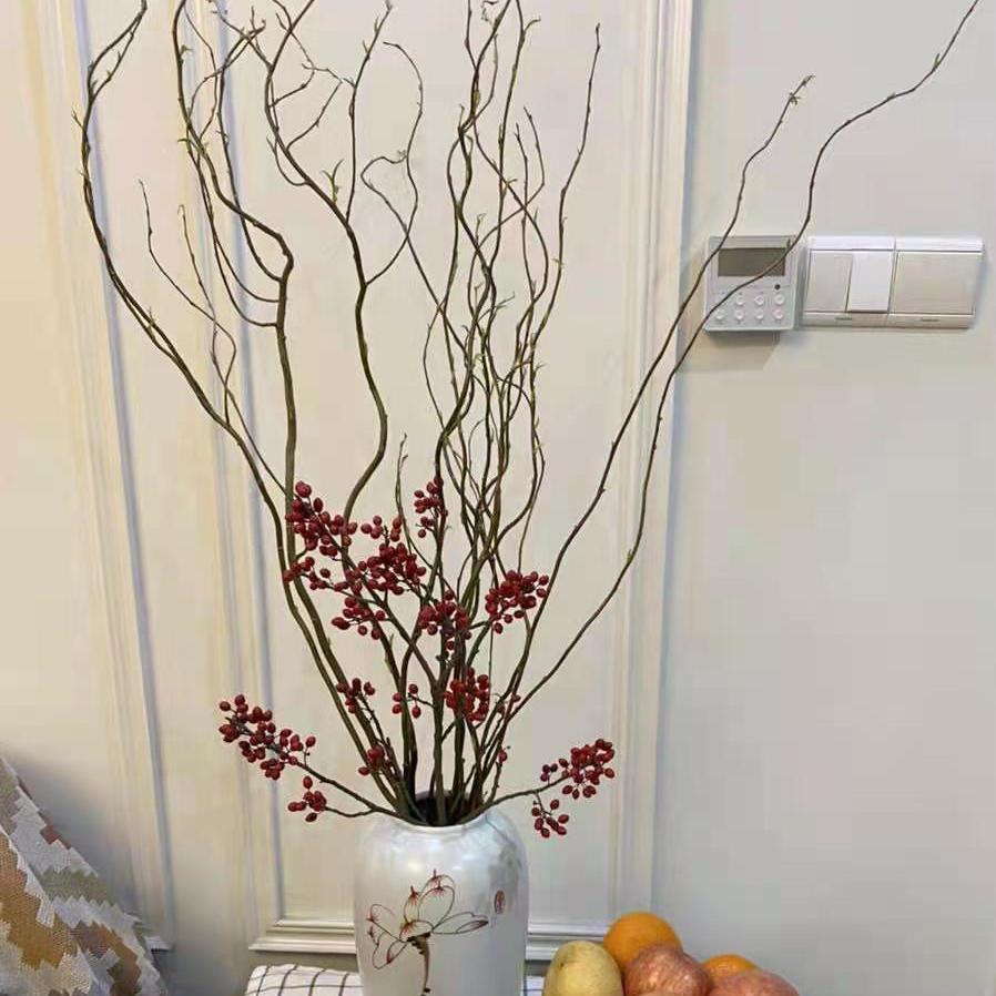 鲜枝龙柳雪柳干枝插花活龙柳水培鲜切植物造型景观diy落地树枝 3月10日发完 虎窝拼