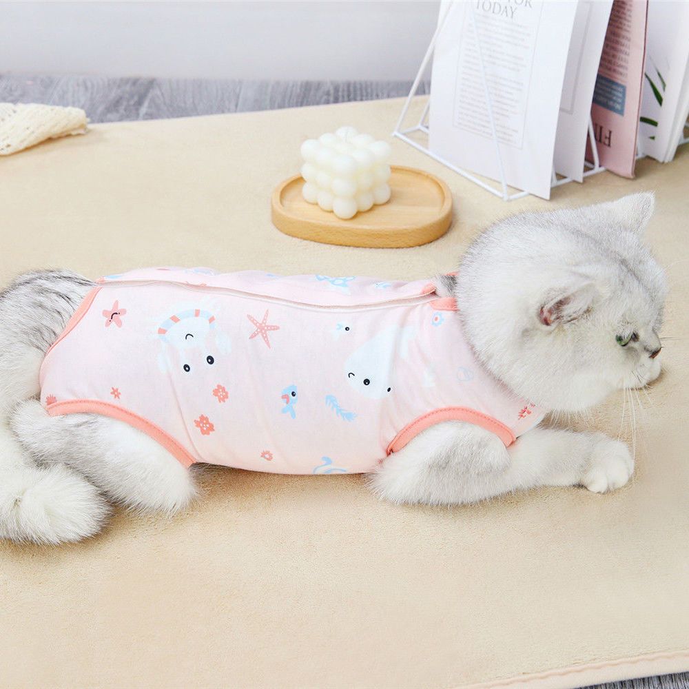 商品缩略图 4