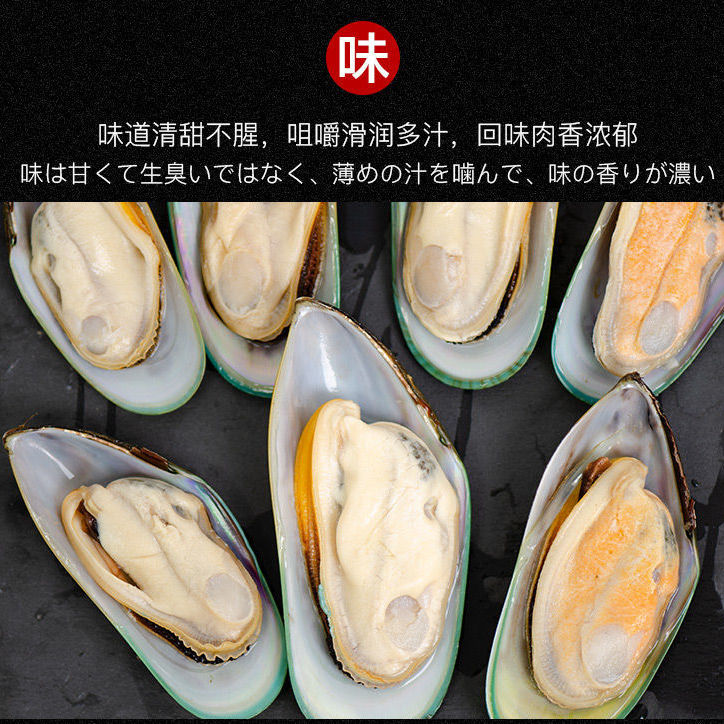 淡菜青口贝鲜活海虹青口特大批发价特大号特大贻贝大青口贝海鲜