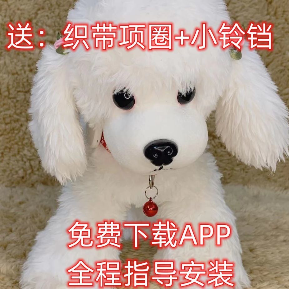 宠物蓝牙定位器猫咪追踪器狗狗办公室防走丢小型追踪器智能定位器