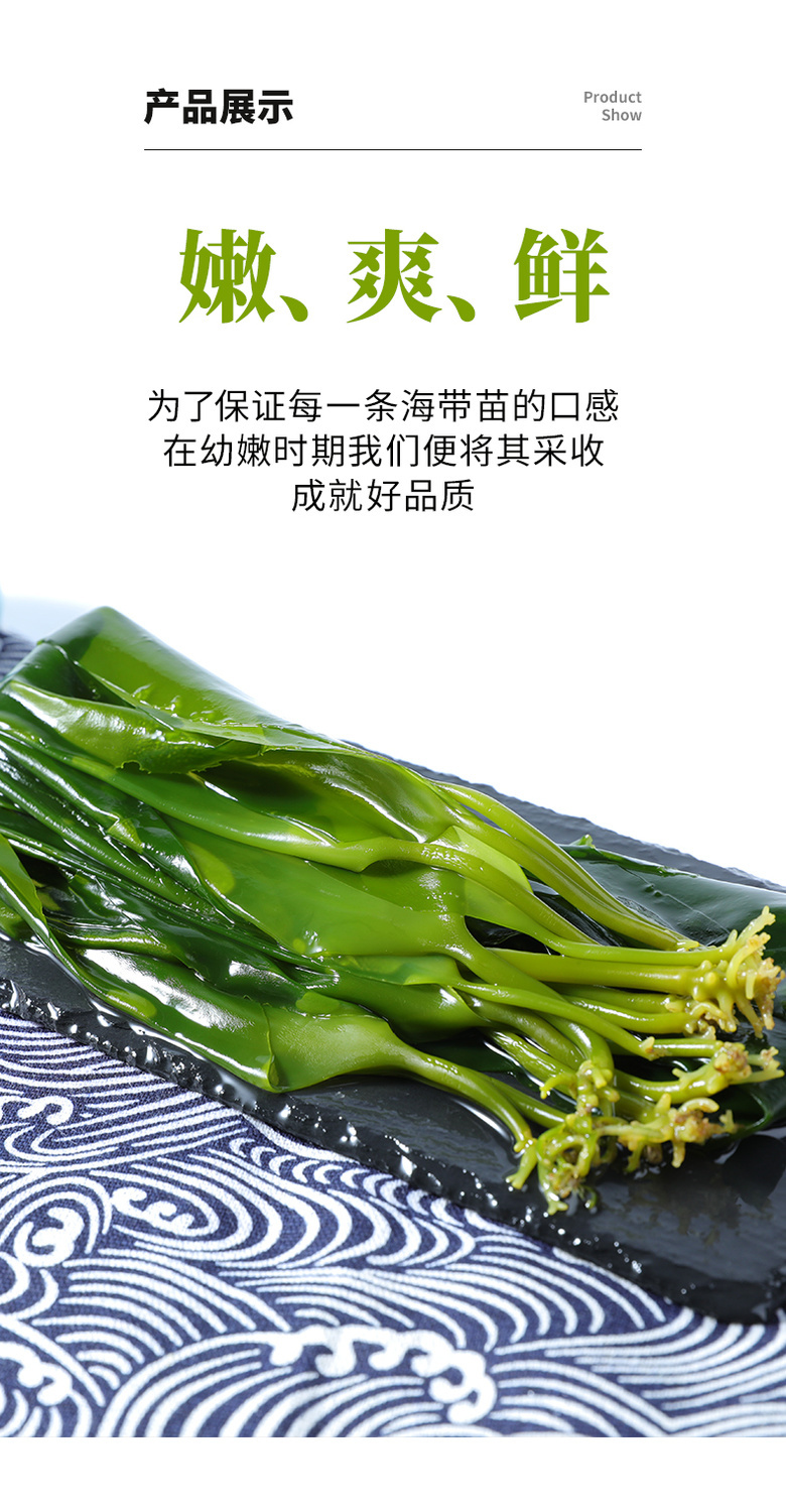 海带苗嫩裙带菜凉拌新鲜火锅非海带干货海白菜霞浦盐渍海带芽批发
