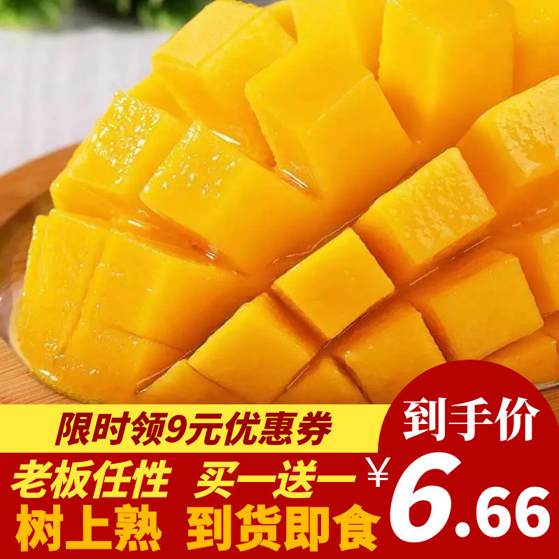 37786-【树上熟】云南非海南台芒 整箱水果 当季水果 应季水果 到货即食-详情图