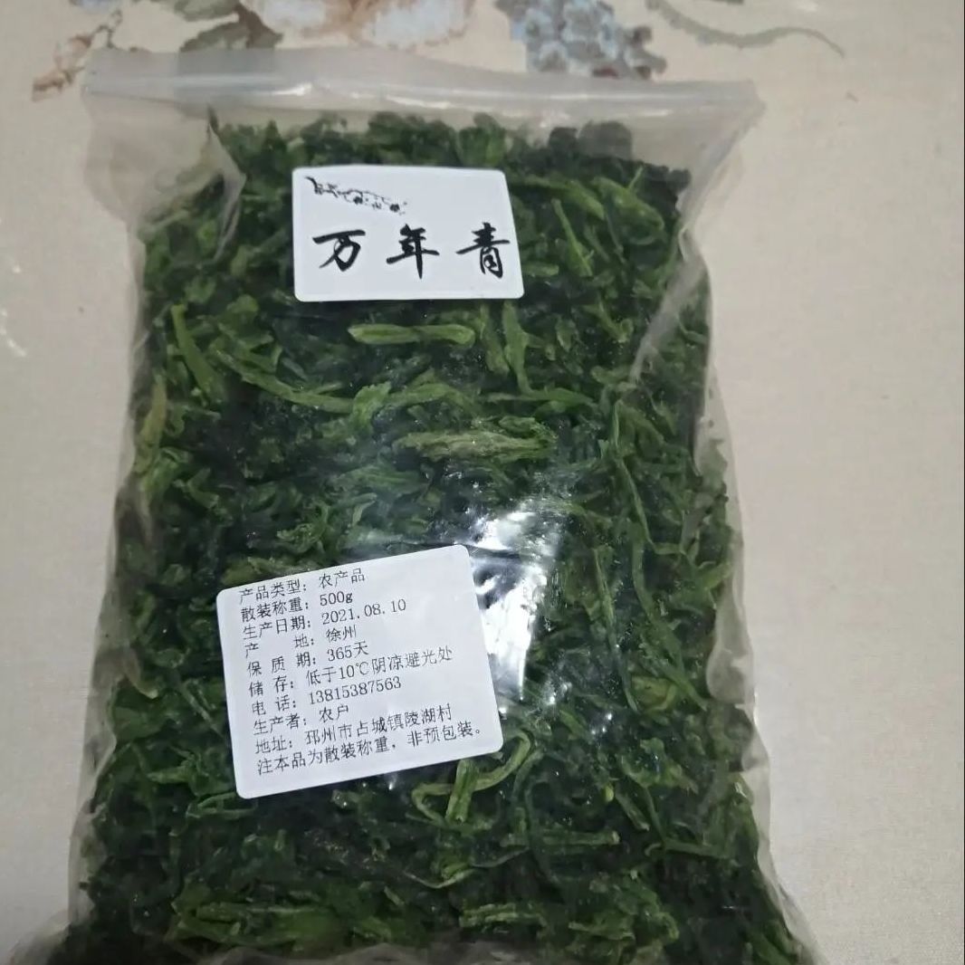 农家 万年青菜干 干菜 橄榄菜干 青菜干 脱水菜心蔬菜干