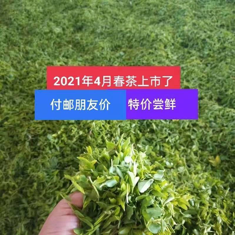 酸枣芽茶山枣叶茶2021年新茶炒制酸枣叶茶春节特产礼品