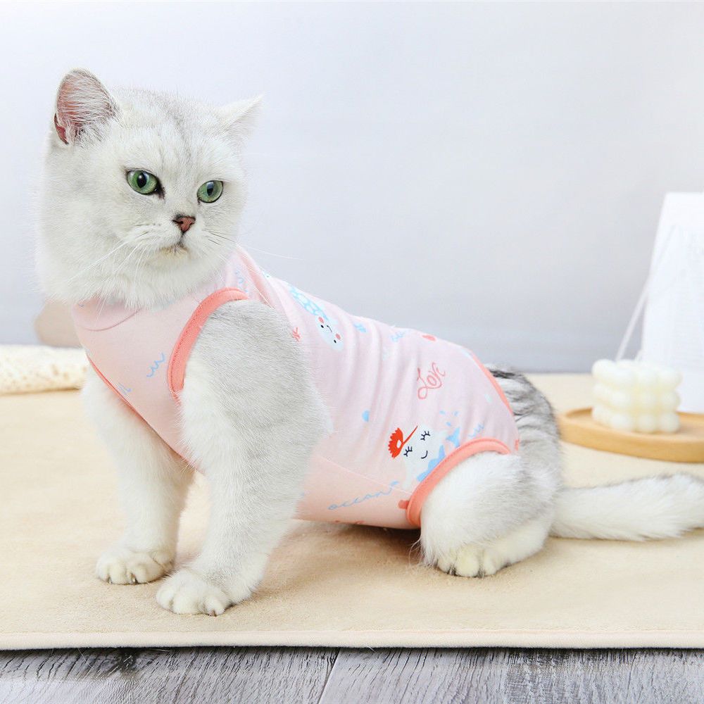 商品缩略图 5