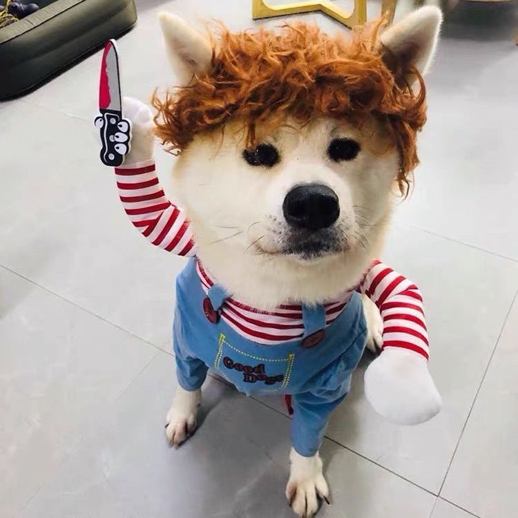网红抖音同款拿刀搞怪搞笑小型犬变身装宠物沙雕狗狗猫咪宠物衣服