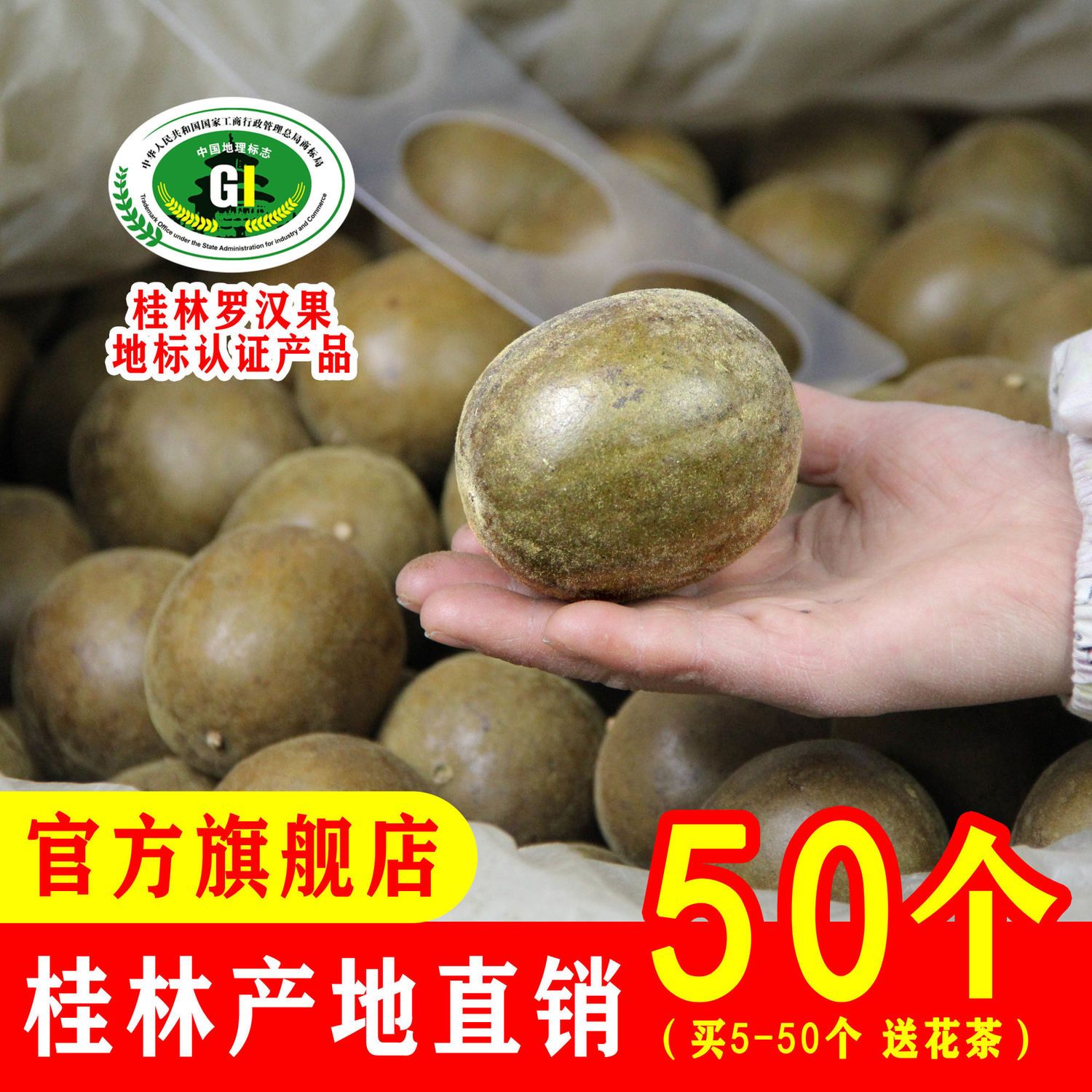 柑橘苗种植：新一年的发展机遇与挑战