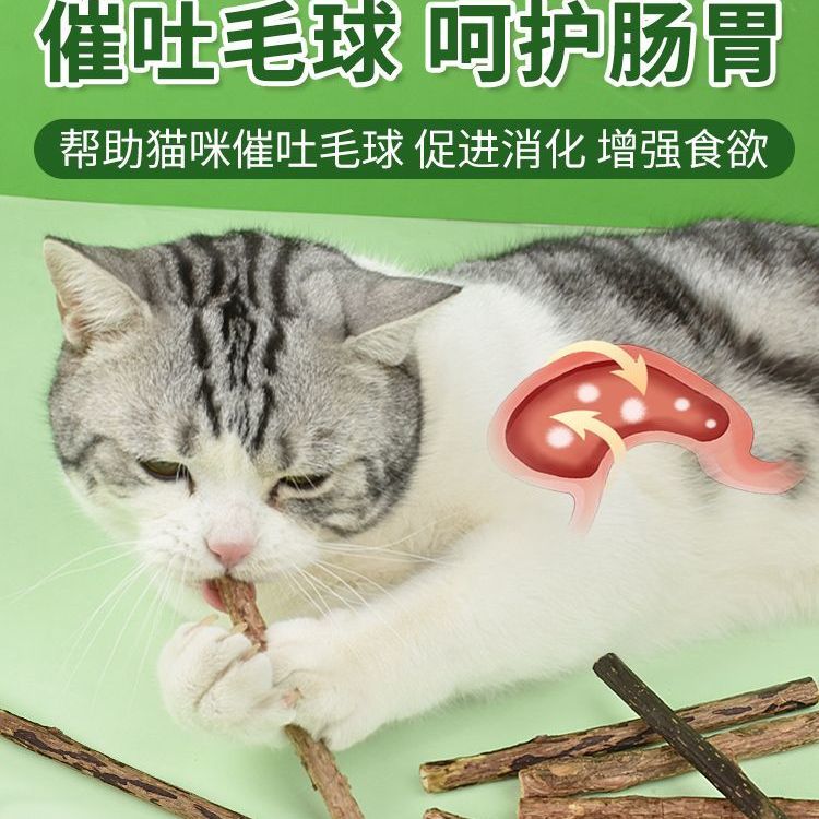 猫咪磨牙棒猫木天蓼棒幼猫磨牙零食玩具猫猫小用品猫薄荷大全专用