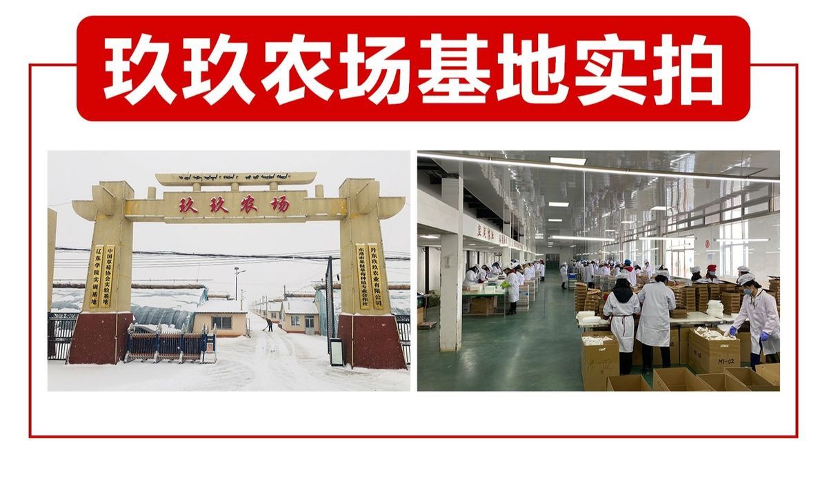 丹东99草莓新鲜东港红颜九九草莓整箱当季水果新鲜草莓空运