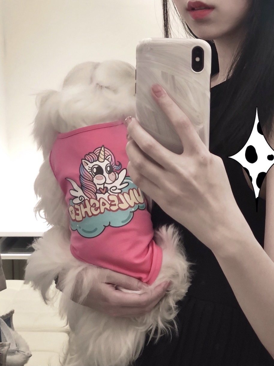 Korean ins Maltese kitten summer sleeveless vest cute breathable pet short-sleeved cat dog clothes