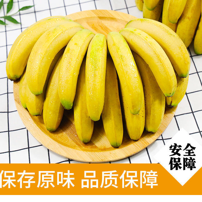 【十斤装】云南香蕉整箱自然熟当季水果新鲜非广西小米蕉包邮【神农良品】