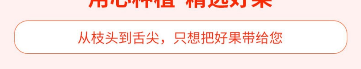 山东爆炸桃甜裂桃爆甜裂嘴桃丑桃子脆桃开口笑脆甜开裂桃子冬桃