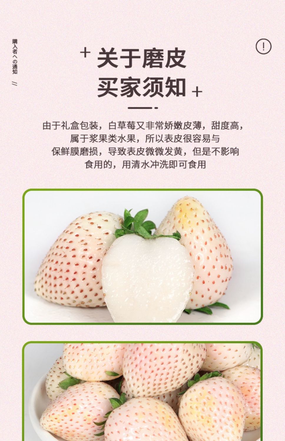 【顺丰次日达】淡雪白草莓新鲜水果现摘现发白草莓礼盒淡雪草莓奶