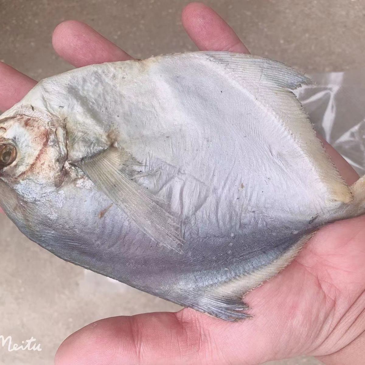 165780-深海银鲳鱼干烧烤小鱼干酥脆零食渔家自晒咸鱼干海鲜鲜鱼-详情图