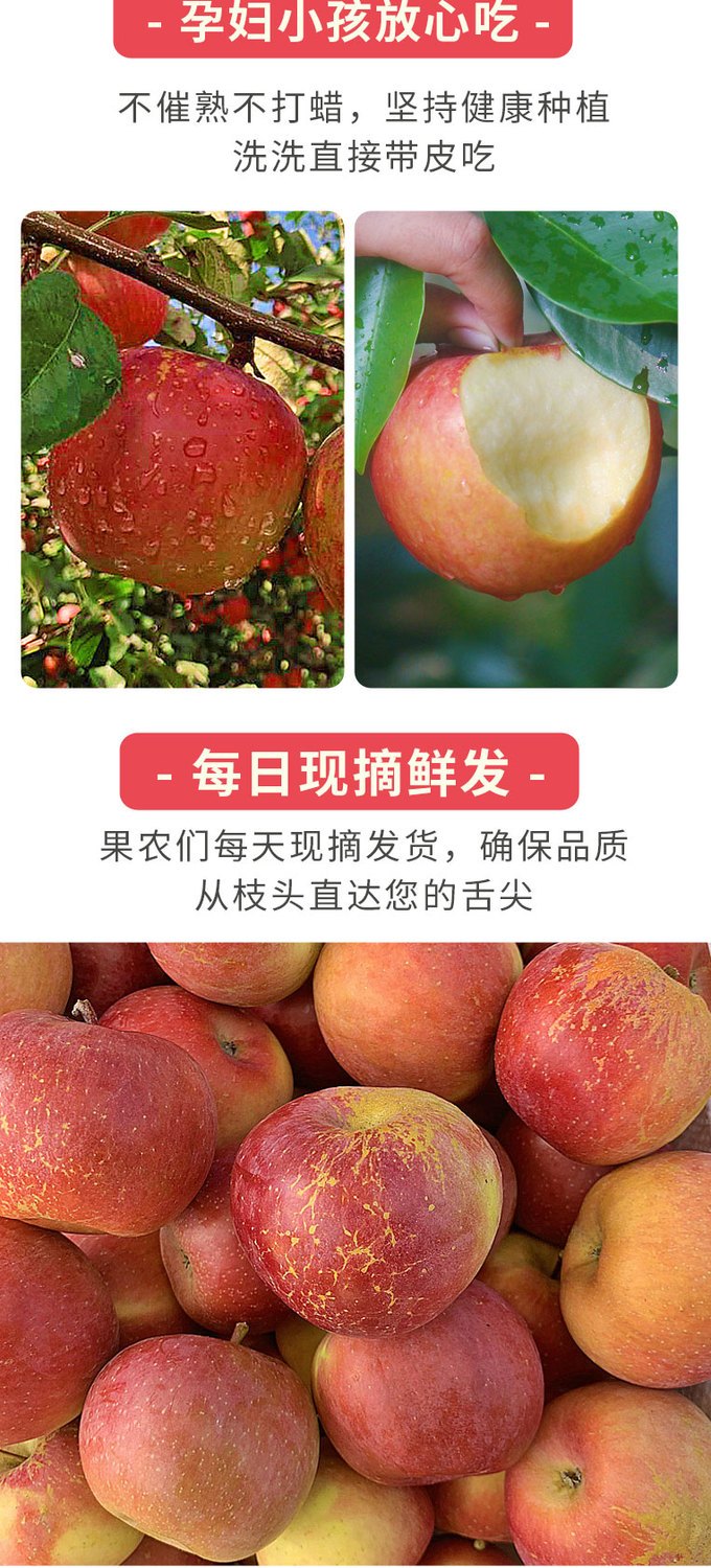 正宗大凉山丑苹果冰糖心新鲜脆甜3/5/10斤当季红富士苹果水果批发