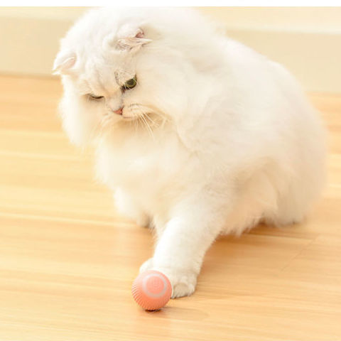 小猫咪引力智能滚滚球球玩具逗猫球猫薄荷发声磨牙耐咬自嗨解闷宠