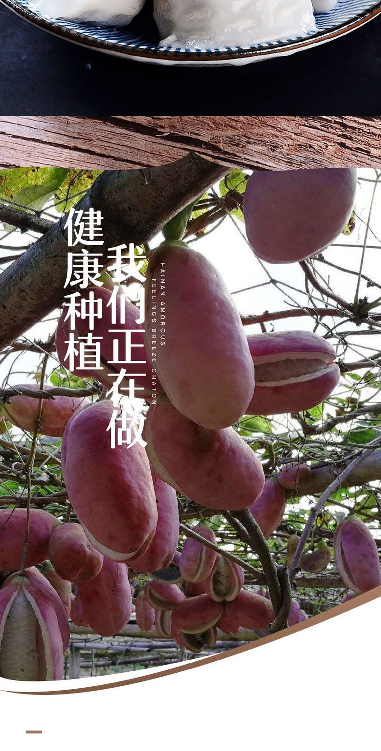 八月瓜时令新鲜稀奇古怪水果8月瓜炸1/2/5斤野生香蕉甜香瓜包邮