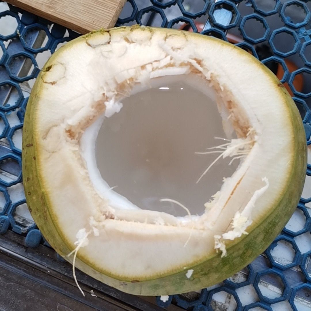 海南椰子去皮老椰子新鲜孕妇营养水果炖汤水果新鲜椰子汁椰青椰皇