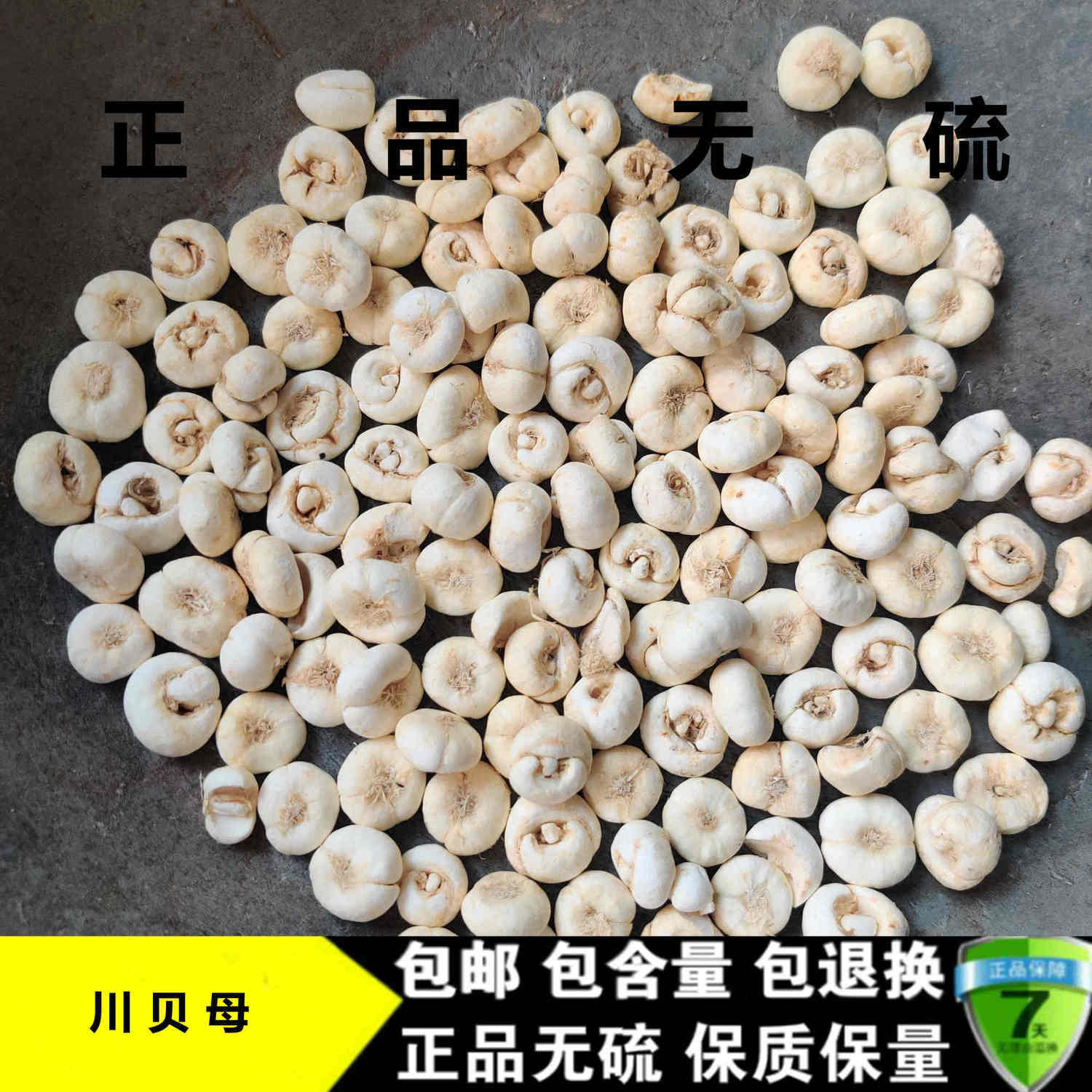 西藏野生川贝母藏贝母川贝粉平贝松贝浙贝母珍珠贝米贝无硫土贝母