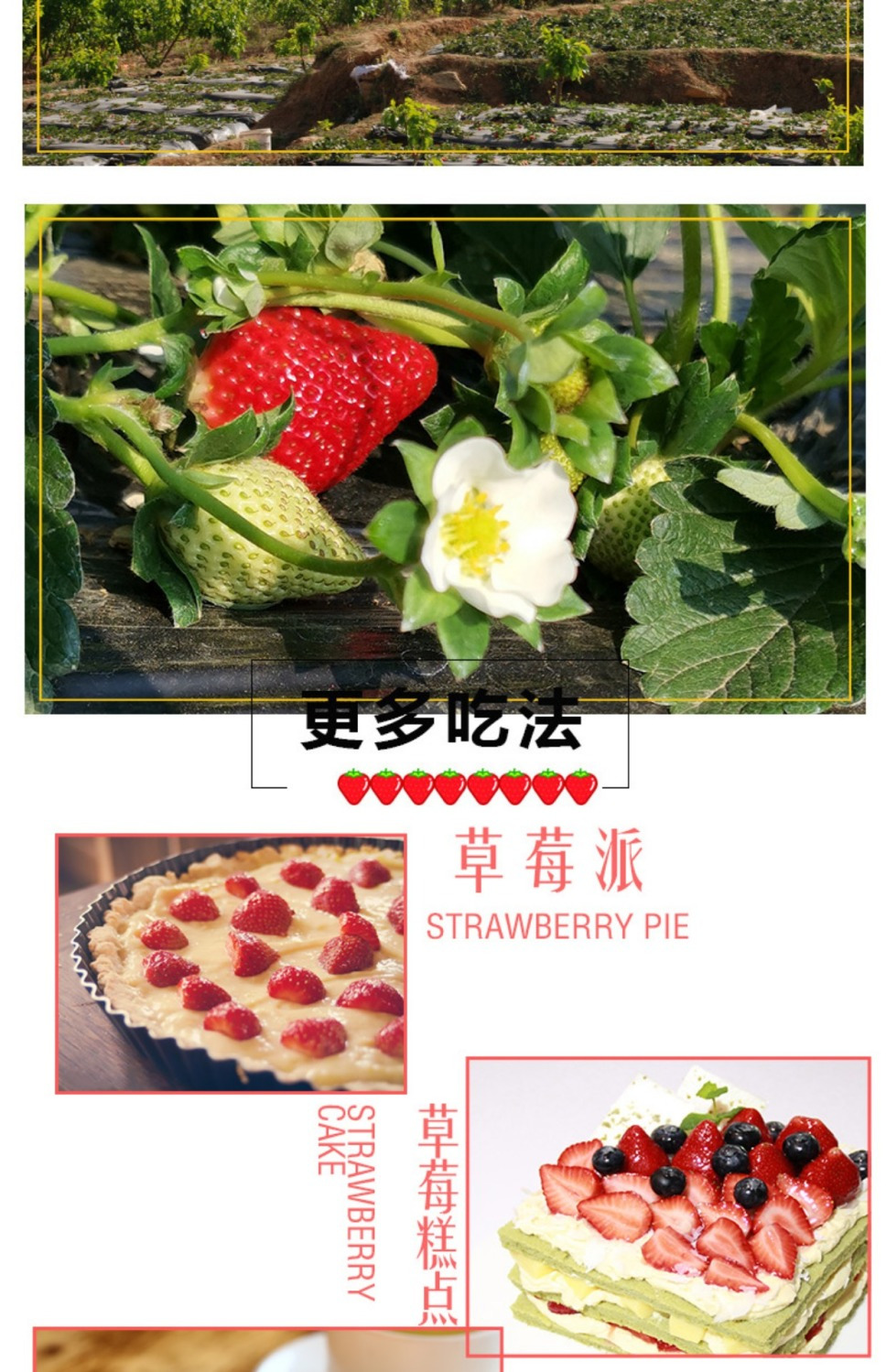 露天红颜草莓新鲜商用孕妇应季水果大凉山整箱非丹东99红颜包邮