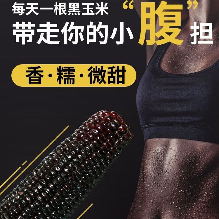 88825-东北黑玉米新鲜甜糯非转基因真空包装自热速食黑黏苞米棒整箱批发-详情图