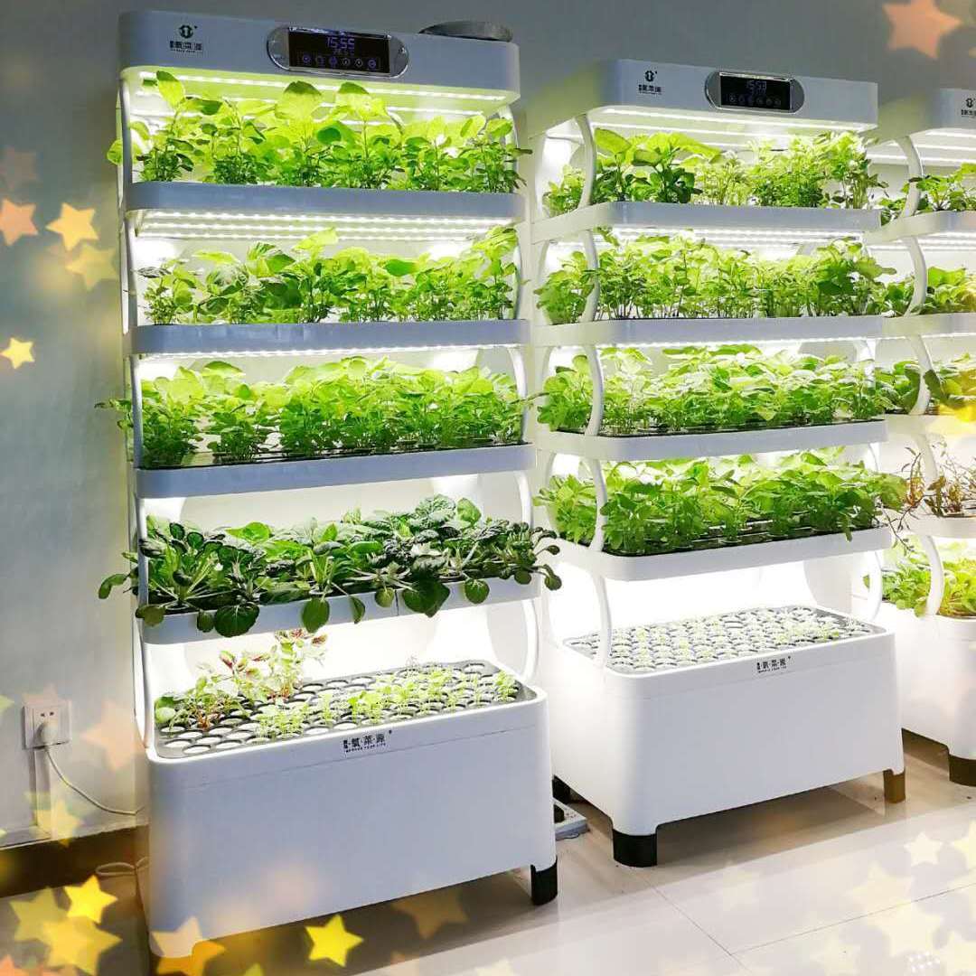 室内种菜智能电菜机水培蔬菜家用种菜机室内种植机
